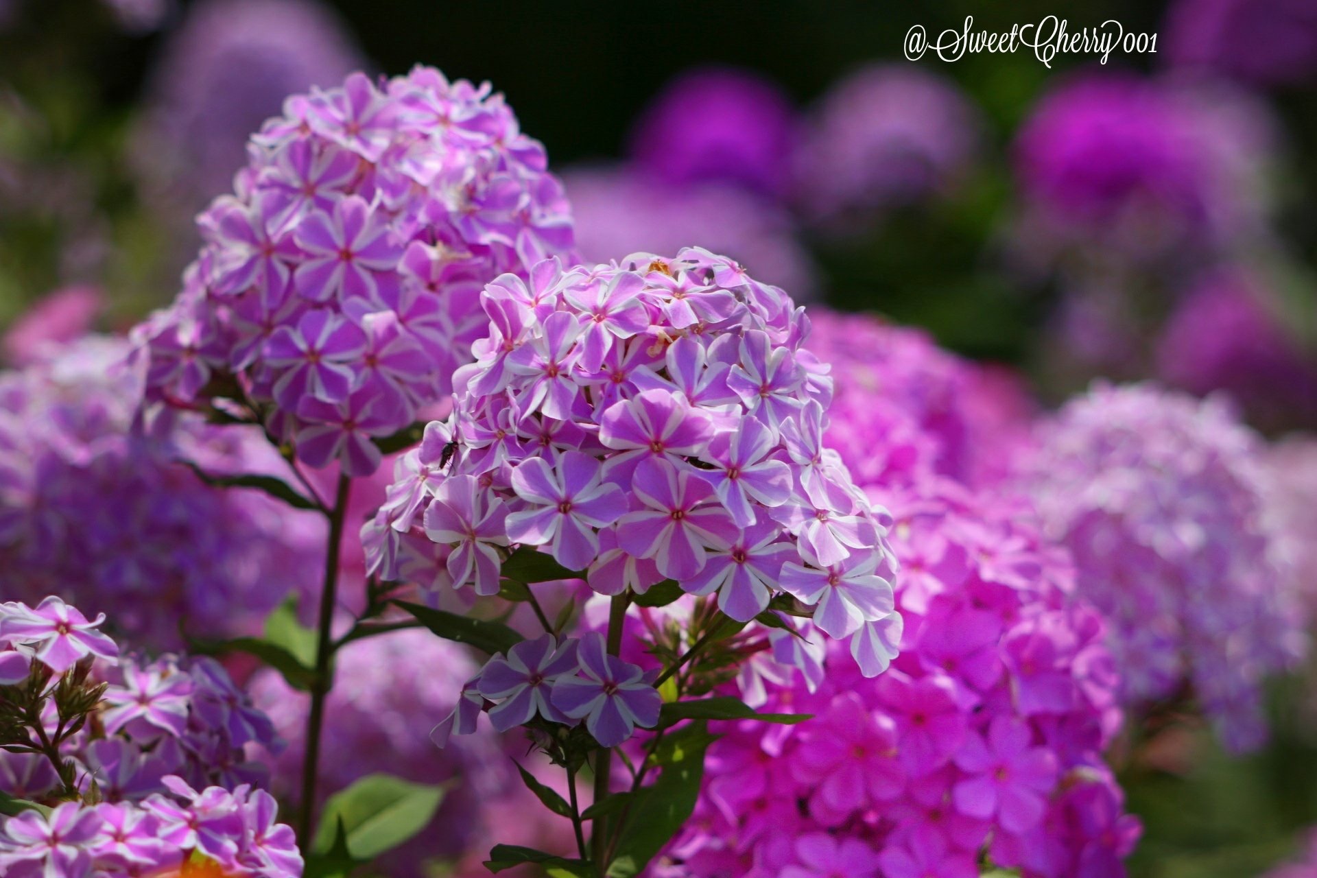 32D77BA3-A9FD-4035-A3C2-BC1AA6B889B7