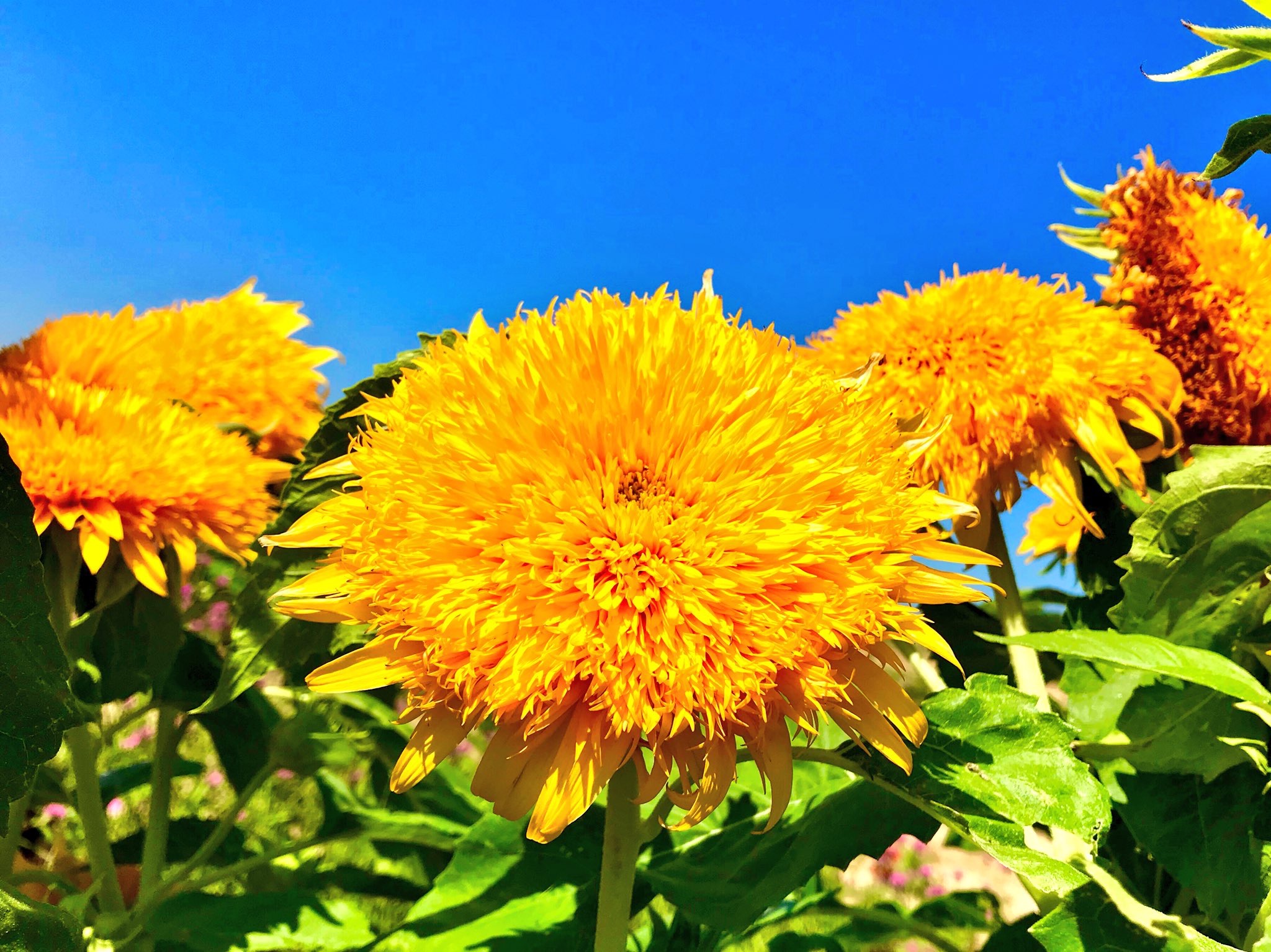 09984A51-060E-4AF8-9349-09712B95495D