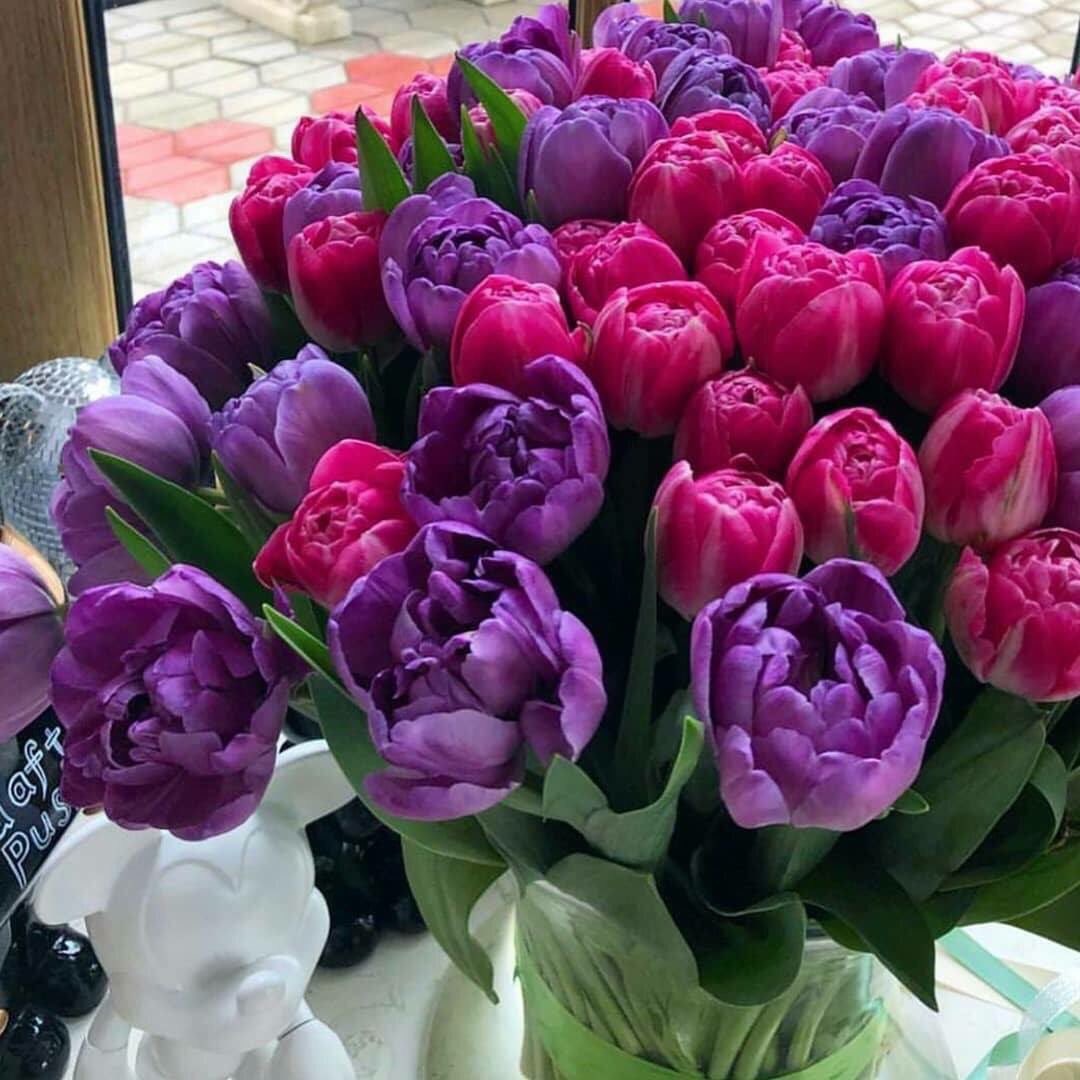 C50EDA69-4FA2-4057-AC8B-5712792E9BFE