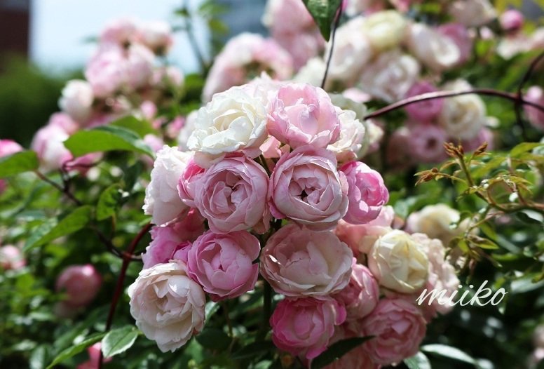 22EC55AC-1515-4E71-800E-EB4D13EDE3A2