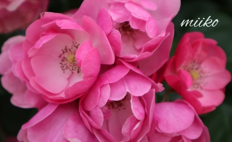 B819CC0F-AE1C-4725-BF71-FAE8DB926805