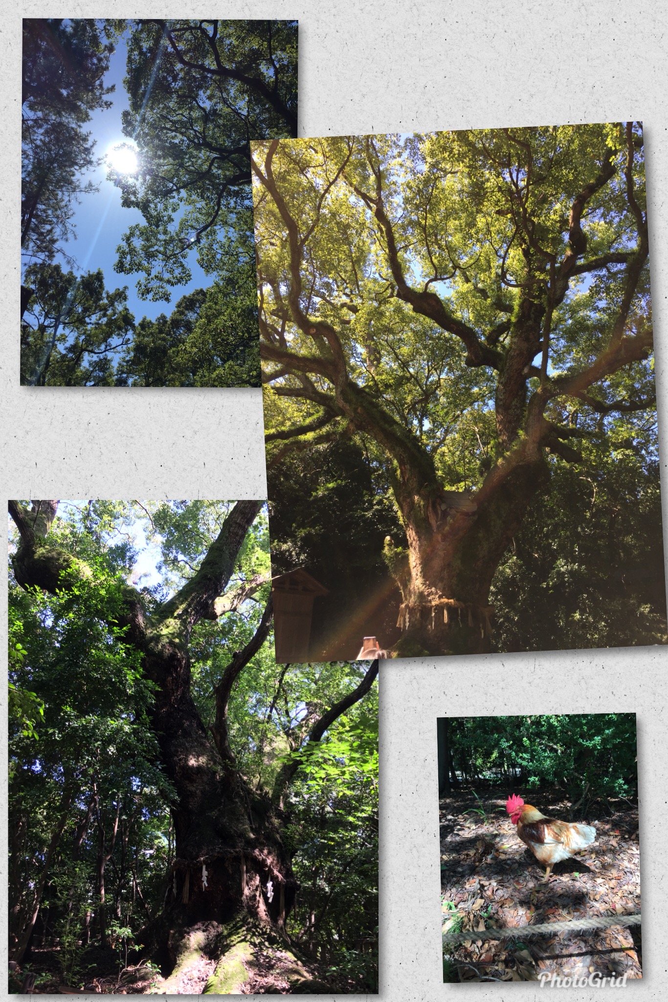 E3F11675-78E7-4E9E-B707-B8C8FE9C5BD2