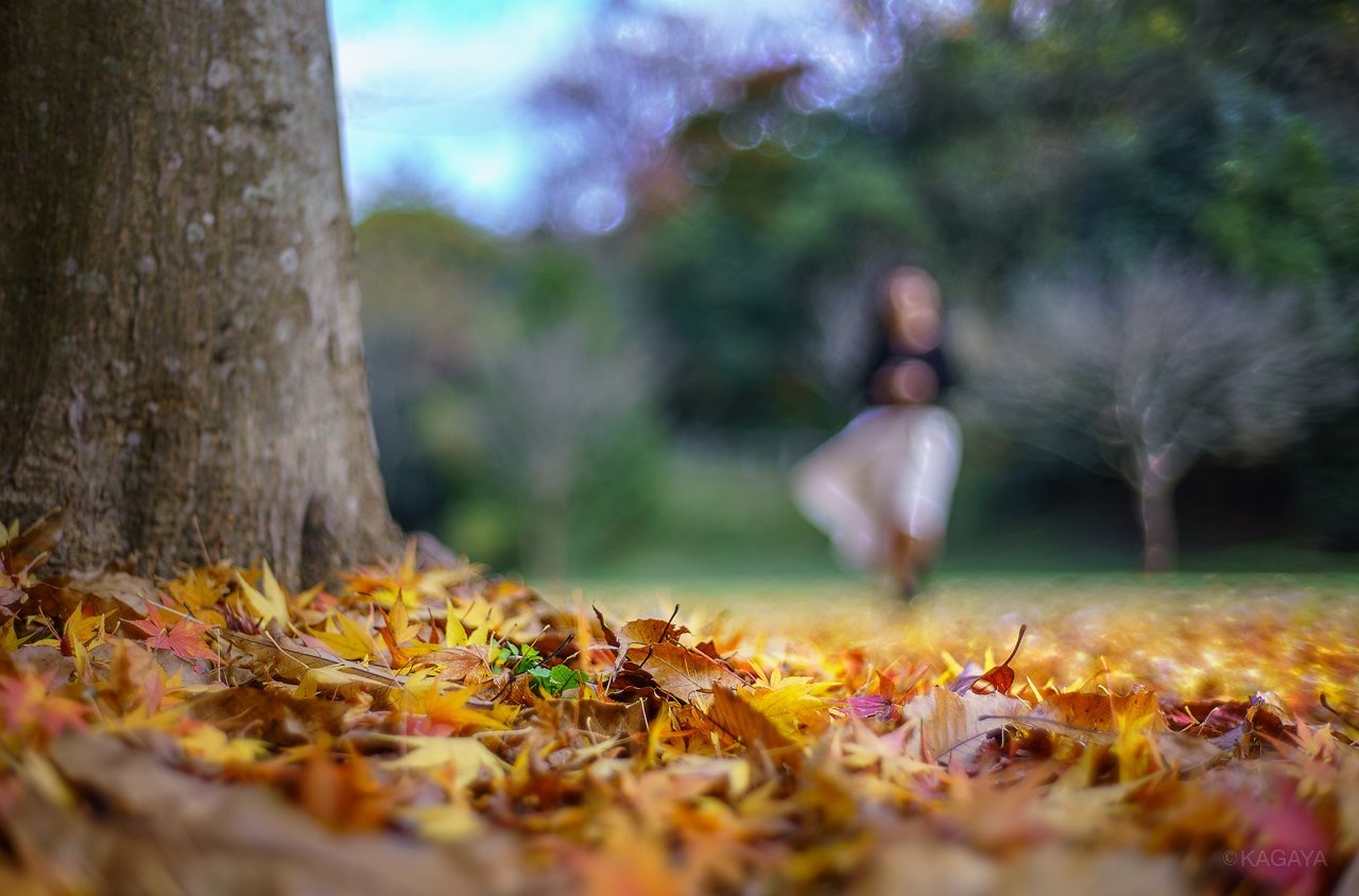 120649C8-72F1-4DC8-985C-4E462DC530E6