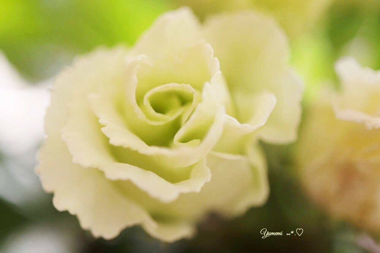 F60640EF-9A79-4E60-894A-9B813266AD4E